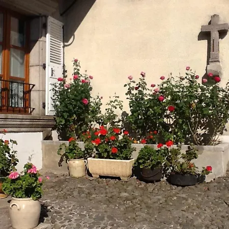 Maison De Charme Avec Jardin, Proche Station Super-lioran, Ideale Pour Famille Et Activites Nature - Fr-1-742-467