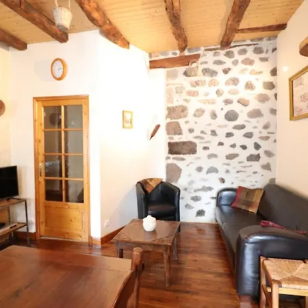 Maison De Charme Avec Jardin, Proche Station Super-lioran, Ideale Pour Famille Et Activites Nature - Fr-1-742-467 בית נופש Thiézac