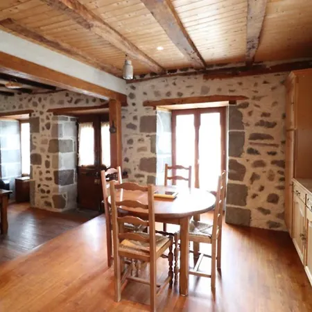Maison De Charme Avec Jardin, Proche Station Super-lioran, Ideale Pour Famille Et Activites Nature - Fr-1-742-467 Thiézac